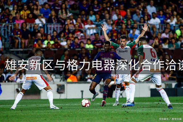 雄安新区与格力电器深化合作洽谈